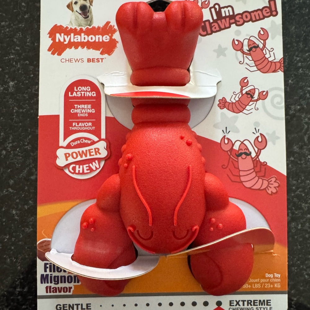 Nylabone Filet Mignon Flavor Dog Toy - NEW